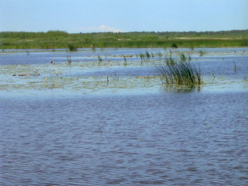 JezioroModła 